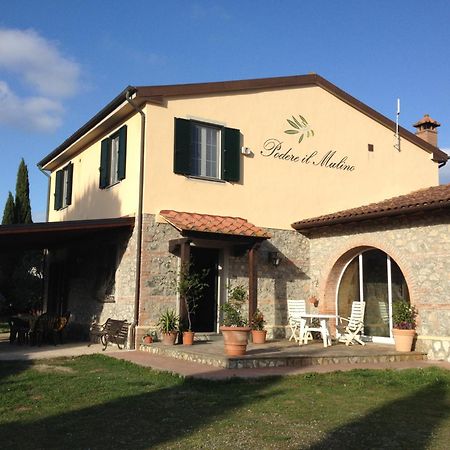 Podere Il Mulino Pieve di Santa Luce Экстерьер фото