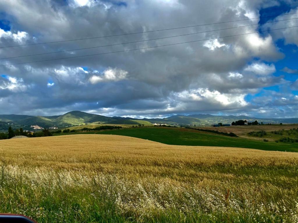 Podere Il Mulino Pieve di Santa Luce Экстерьер фото