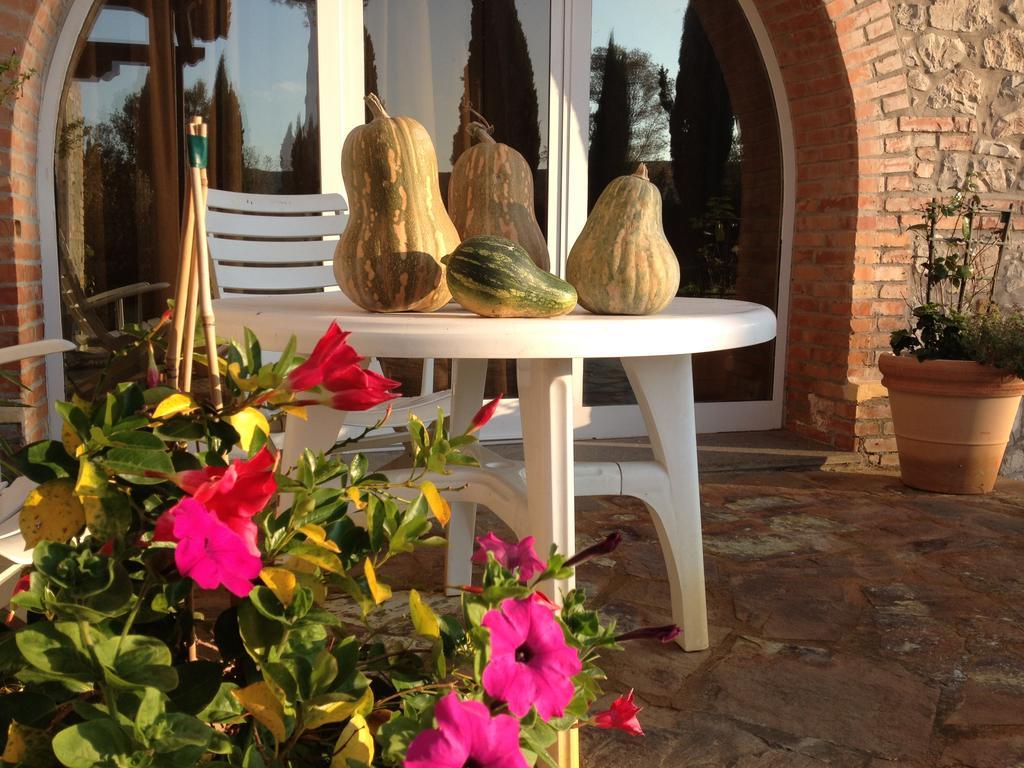 Podere Il Mulino Pieve di Santa Luce Экстерьер фото