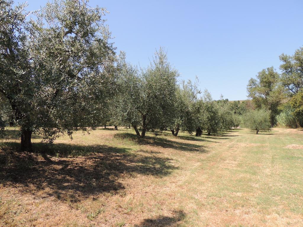 Podere Il Mulino Pieve di Santa Luce Экстерьер фото